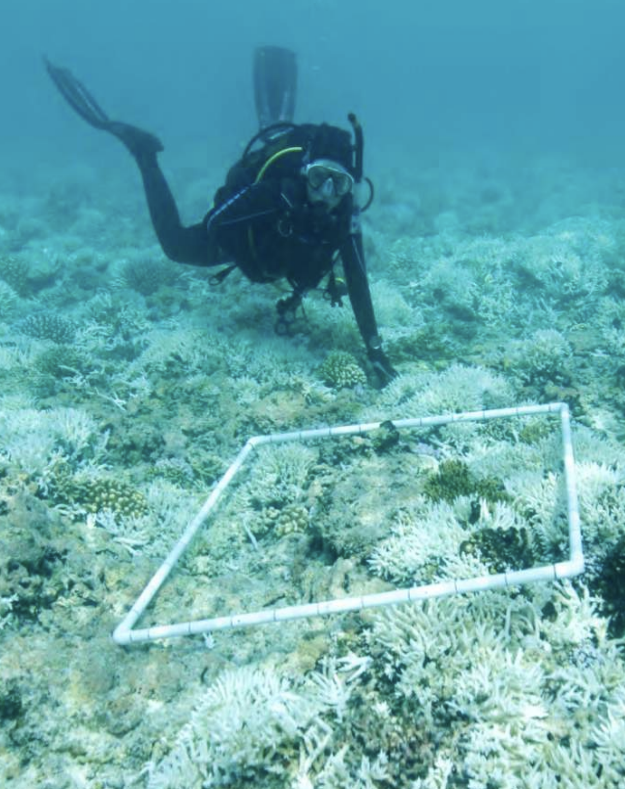 Screenshot 2025-06-05 at 12.25.36-1